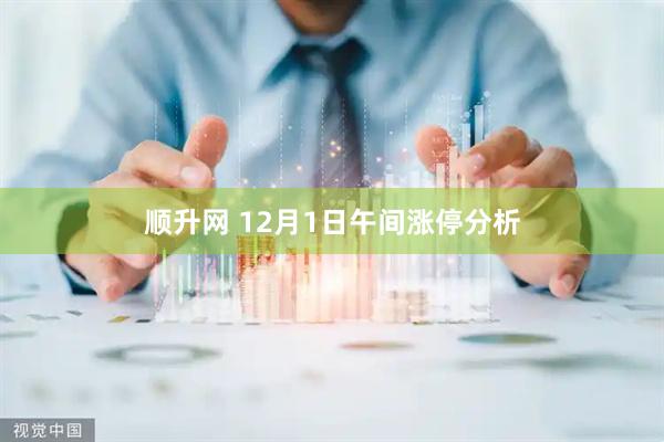 顺升网 12月1日午间涨停分析